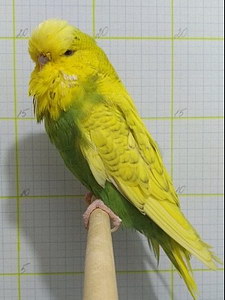 Участник №106 фото