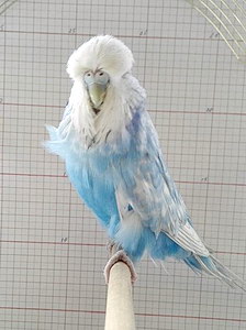 Участник №107 фото