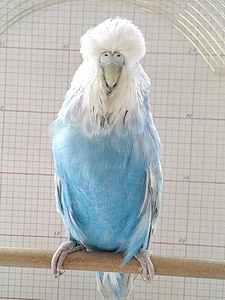 Участник №107 фото