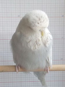 Участник №108 фото