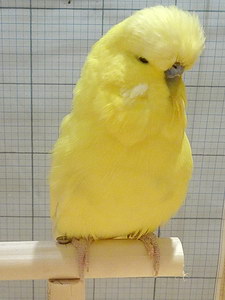 Участник №110 фото