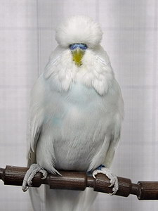 Участник №111 фото