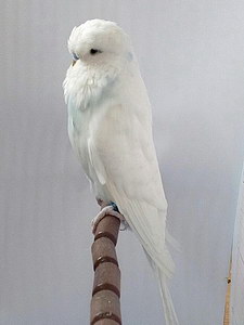 Участник №111 фото