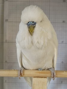 Участник №112 фото