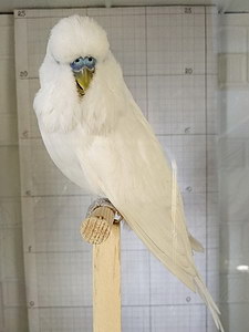 Участник №112 фото