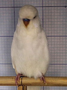 Участник №113 фото