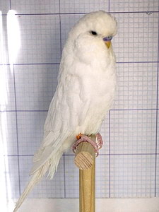 Участник №113 фото