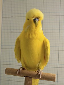 Участник №115 фото