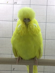 Участник №116 фото