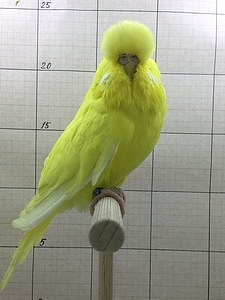 Участник №116 фото