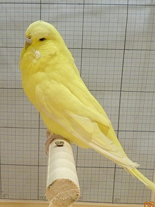 Участник №117 фото