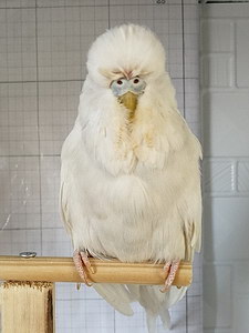 Участник №118 фото