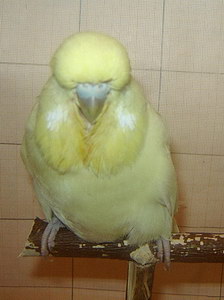 Участник №119 фото