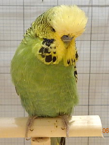 Участник №12 фото