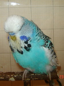 Участник №120 фото