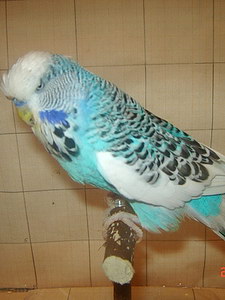 Участник №120 фото