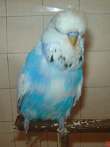 Участник №121 фото