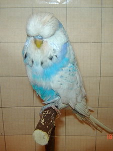 Участник №121 фото