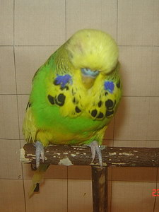 Участник №122 фото