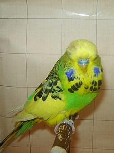 Участник №122 фото