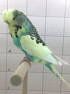 Участник №123 фото