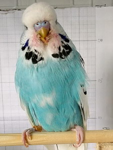 Участник №124 фото