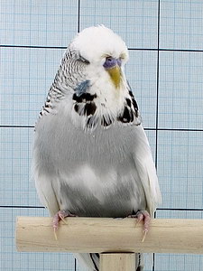 Участник №125 фото