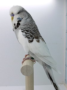 Участник №125 фото