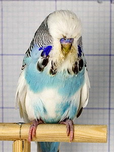 Участник №126 фото