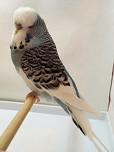 Участник №127 фото