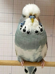 Участник №127 фото