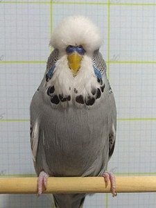 Участник №128 фото