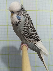 Участник №128 фото