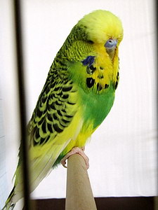 Участник №131 фото