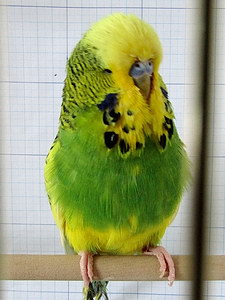 Участник №131 фото