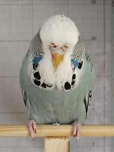 Участник №133 фото