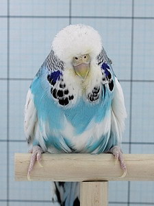 Участник №134 фото