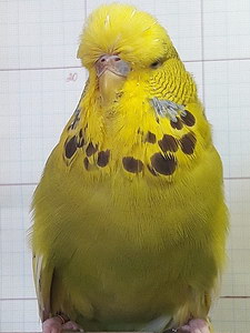 Участник №135 фото