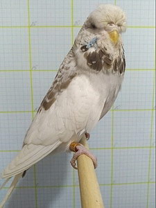 Участник №136 фото