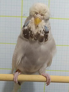 Участник №136 фото