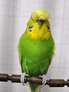 Участник №137 фото