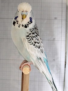 Участник №138 фото