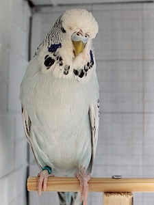 Участник №138 фото