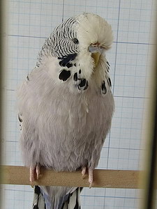 Участник №139 фото