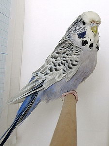 Участник №139 фото