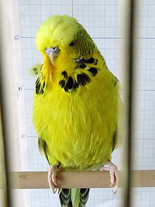 Участник №140 фото