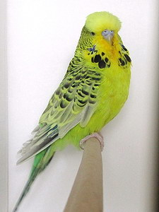 Участник №140 фото