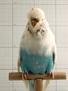 Участник №141 фото