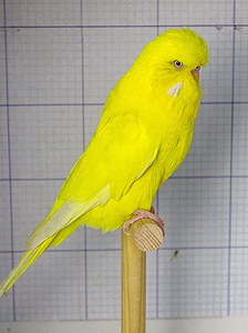 Участник №142 фото