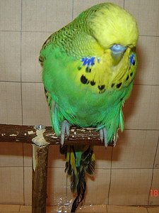 Участник №144 фото